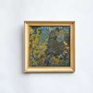 David-Schlunke, Quondong, 