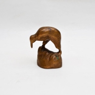 New-Zealand-Kiwi-Bird, Kiwi, New-Zealand,
