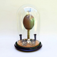 Mounted-Emu-Egg, 