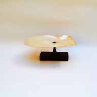 Pearl-shell, tazza,