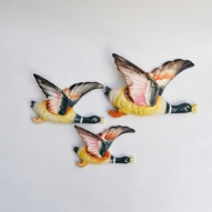 Flying-wall-ducks,