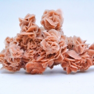 Desert-Rose, Gypsum-Crystals,