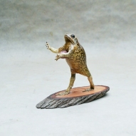 Taxidermy-Cane-Toad
