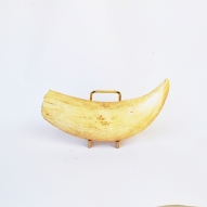 Sperm-Whale-tooth, Sperm-whale-teeth, Sperm-whale, Australian-whaling-industry