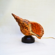 Triton-Trumpet, Shell-Lamp, Retro-Lighting,