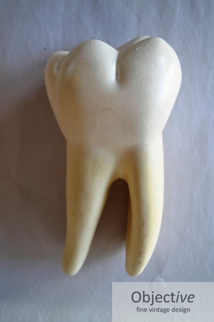 medical-model, dentists-model,