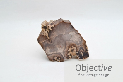 Petrified-Wood,