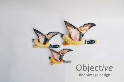 Flying-wall-ducks,
