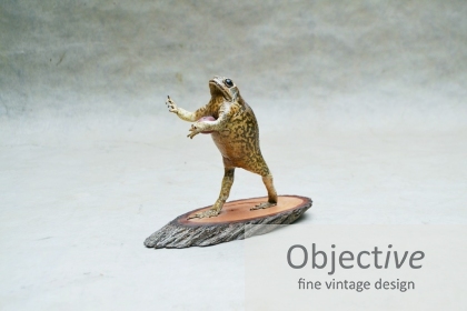 Taxidermy-Cane-Toad