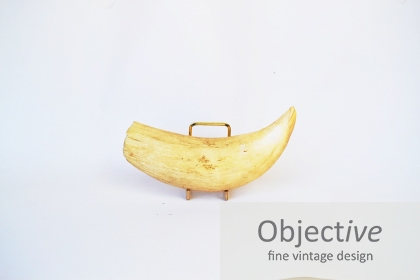 Sperm-Whale-tooth, Sperm-whale-teeth, Sperm-whale, Australian-whaling-industry