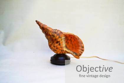 Triton-Trumpet, Shell-Lamp, Retro-Lighting,
