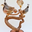 bird-taxidermy, Partridge, Quail, Bird-Taxidermy,
