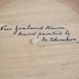 Maori-chief, Maoriland, New-Zealandana, Presentation-Box,