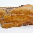 Petrified-Wood,