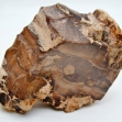 Petrified-Wood,