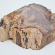 Petrified-Wood,