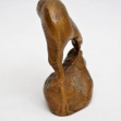 New-Zealand-Kiwi-Bird, Kiwi, New-Zealandana,