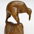 New-Zealand-Kiwi-Bird, Kiwi, New-Zealandana,