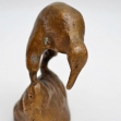 New-Zealand-Kiwi-Bird, Kiwi, New-Zealandana,