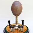 Mounted-Emu-Egg, Australiana,