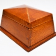 Queensland-Maple,
