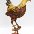 Asian Jungle Fowl
