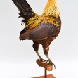 Asian Jungle Fowl