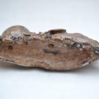 Chinese-Carved-Soapstone