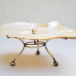 Pearl-Shell-Dish
