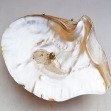 Pearl-Shell-Dish