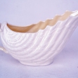 Belleek-gravy-boat