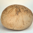 Hiroe-Swen-Pottery