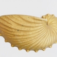 Diamond-ware-pottery, South-Australian-pottery